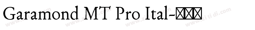 Garamond MT Pro Ital字体转换